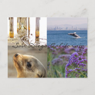 Ontdek San Diego Briefkaart