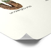 Ontdekkend Alfabet van de Natuur | Bos ABC Peuterk Poster (Hoek)