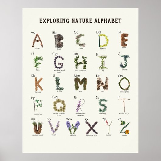 Ontdekkend Alfabet van de Natuur | Bos ABC Peuterk Poster (Voorkant)