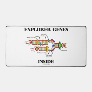 Ontdekkersgenen in DNA-replicatie Bureaumat