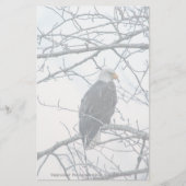 ontevreden (Voorkant)