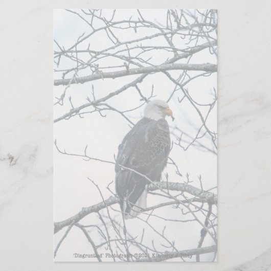 ontevreden (Voorkant)