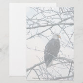 ontevreden (Voorkant / Achterkant)