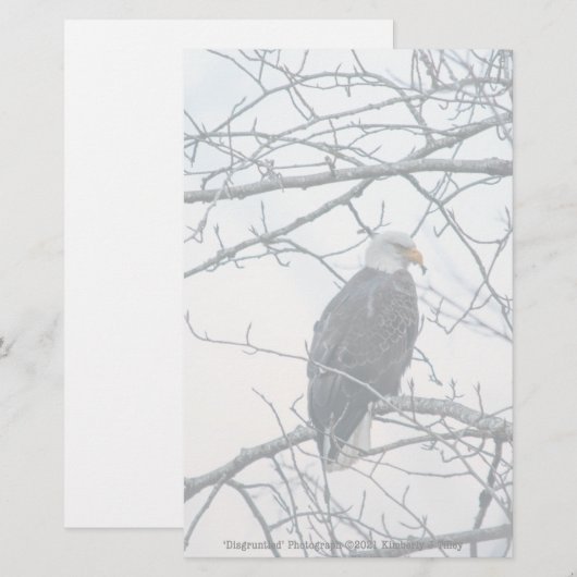 ontevreden (Voorkant / Achterkant)