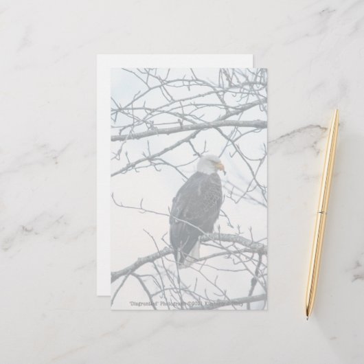 ontevreden (Voorkant / Achterkant in situ)