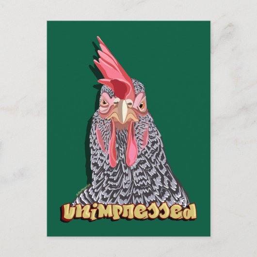 Ontevreden Barred Rock Hen Briefkaart (Voorkant)