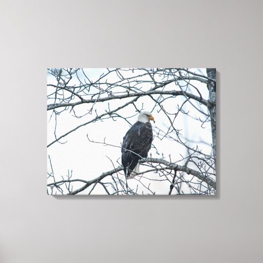 ontevreden canvas afdruk (Voorkant)