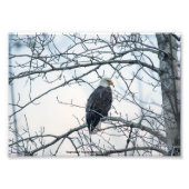 ontevreden foto afdruk (Voorkant)