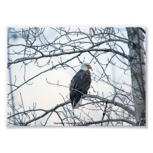 ontevreden foto afdruk (Voorkant)