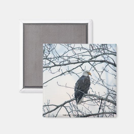 ontevreden magneet (Voorkant / Achterkant)