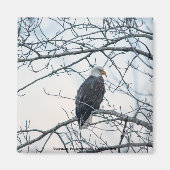 ontevreden magneet (Voorkant)