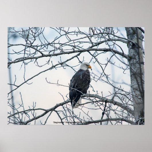 ontevreden poster (Voorkant)