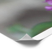 Onthaal aan de Poster-Skipper van de Doos van de D Poster (Hoek)