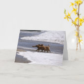 Onthaal aan het team! kaart (Gele Bloem)