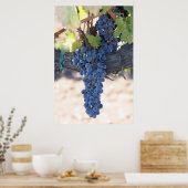 OnTheVine Poster (Keuken)