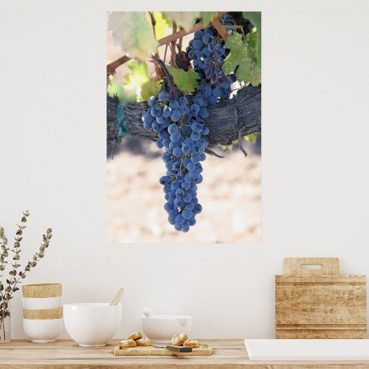 OnTheVine Poster (Keuken)