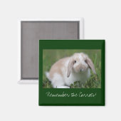 Onthoud de Wortels! Bunny Magneet (Voorkant / Achterkant)