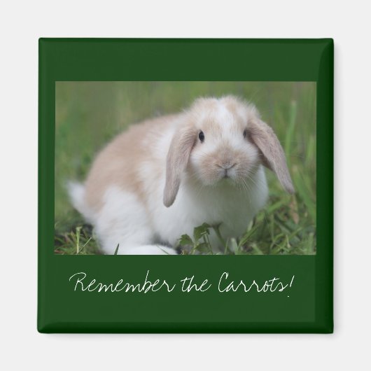 Onthoud de Wortels! Bunny Magneet (Voorkant)