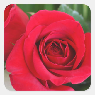 Onthoud liefde vierkante sticker