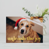 Ontketen de Joy Navy Dog Foto Folie Feestdagenkaart (Staand Voorkant)