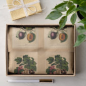 Ontkoppel papier 10 x 15 inch - Botanisch artikel  (Geschenk)