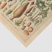 Ontkoppel papier 10 x 15 inch - Botanisch artikel  (Detail)