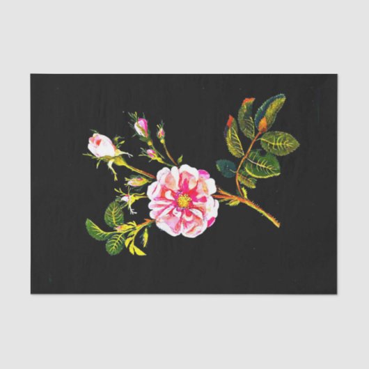 Ontkoppel papier 10 x 15 inch - Mary Delany 10 (Voorkant)