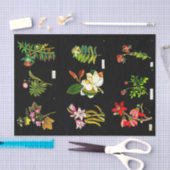 Ontkoppel papier 10 x 15 inch - Mary Delany 14 (Craft)