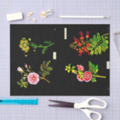 Ontkoppel papier 10 x 15 inch - Mary Delany 16 (Craft)