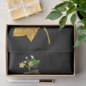 Ontkoppel papier 10 x 15 inch - Mary Delany 2 (Geschenk)