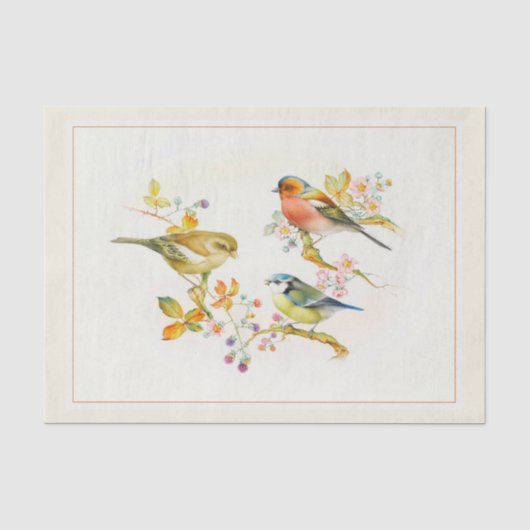 Ontkoppel papier 10 x 15 inch - vogelkunst (Voorkant)