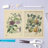 Ontkoppeld papier 10 x 15 inch - Botanisch artikel (Craft)