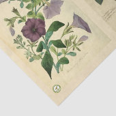 Ontkoppeld papier 10 x 15 inch - Botanisch artikel (Detail)