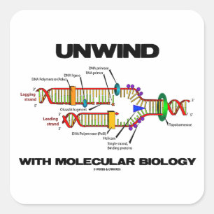 Ontkoppelen met moleculaire biologie (DNA-replicat Vierkante Sticker