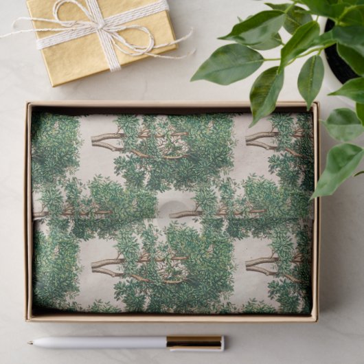 Ontkoppeling groene bomen tissuepapier (Geschenk)