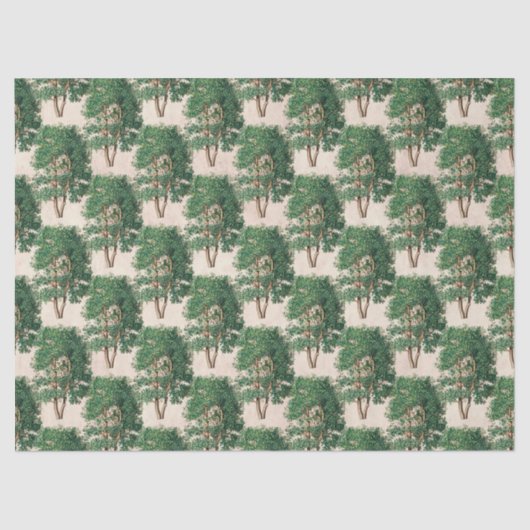 Ontkoppeling groene bomen tissuepapier (Voorkant)