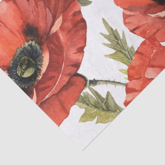 Ontkoppeling rode paprika-ventilator tissuepapier (Detail)