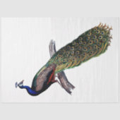 ontkoppeling van Antiek peacock Tissuepapier (Voorkant)