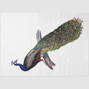 ontkoppeling van Antiek peacock Tissuepapier