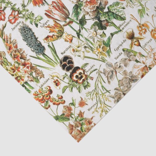 ontkoppeling van bloemen tissuepapier (Detail)