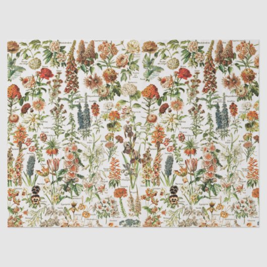  ontkoppeling van bloemen tissuepapier (Voorkant)