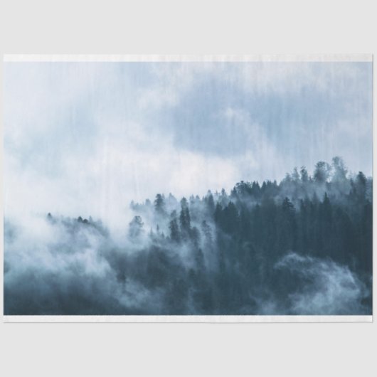 Ontkoppeling van de bossen met de achtergrond tissuepapier (Voorkant)