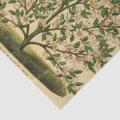 ontkoppeling van de Floral Green Tree Tissuepapier (Detail)