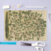 ontkoppeling van de Floral Green Tree Tissuepapier (Craft)