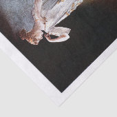 Ontkoppeling van de Griekse dame Tissuepapier (Detail)