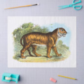 Ontkoppeling van de  tijgerillustratie tissuepapier (Craft)