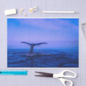 Ontkoppeling van de walvis tissuepapier (Craft)