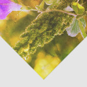 Ontkoppeling van de wildgroei van de Paarse glorie Tissuepapier (Detail)