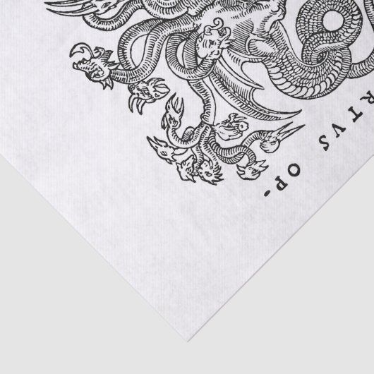 ontkoppeling van  drakenkunst tissuepapier (Detail)