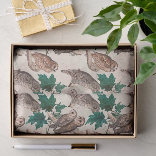 Ontkoppeling van eigendom en bladeren tissuepapier (Geschenk)